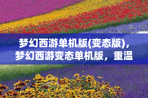 梦幻西游变态单机版图片