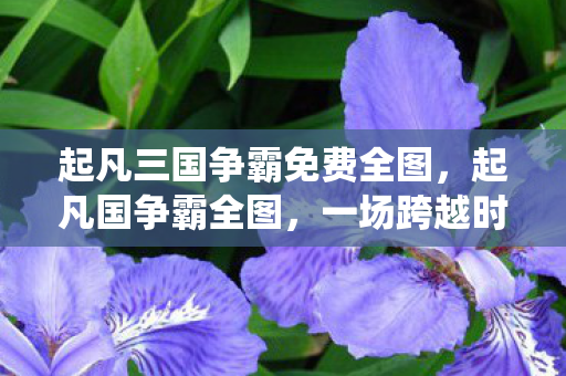 一场跨越时空的史诗战役图片