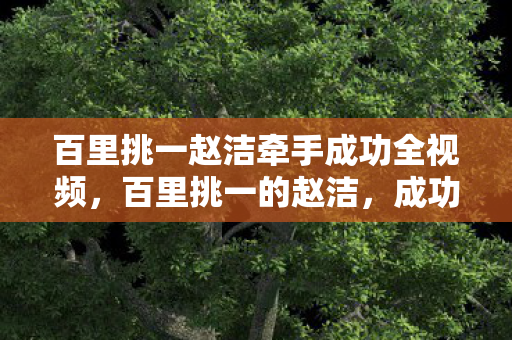 百里挑一赵洁牵手成功全视频，百里挑一的赵洁，成功牵手的背后故事