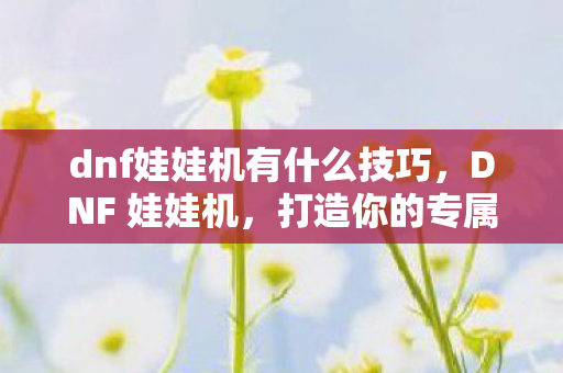 dnf娃娃机有什么技巧，DNF 娃娃机，打造你的专属游戏乐园