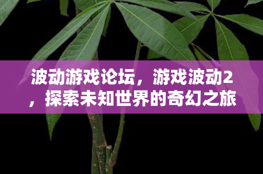 波动游戏论坛，游戏波动2，探索未知世界的奇幻之旅