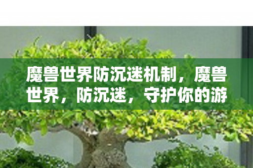 魔兽世界防沉迷机制图片