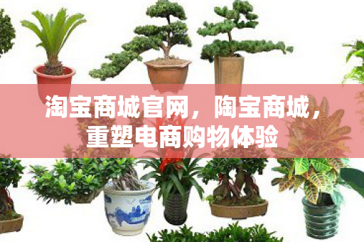 重塑电商购物体验图片