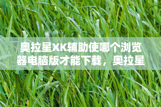 奥拉星XK辅助使哪个浏览器电脑版才能下载图片