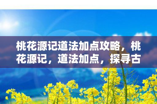 桃花源记道法加点攻略图片