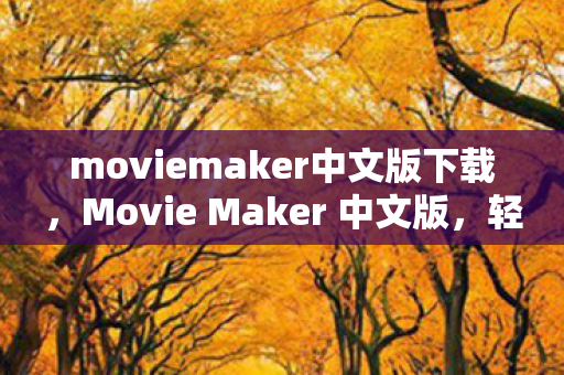 moviemaker中文版下载图片