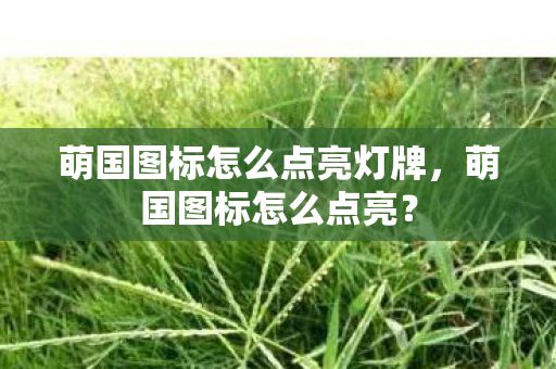 萌国图标怎么点亮灯牌图片