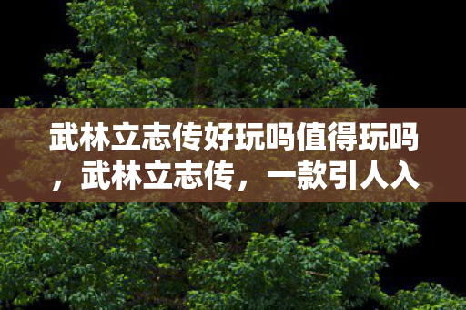 武林立志传好玩吗值得玩吗，武林立志传，一款引人入胜的游戏体验