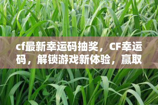cf最新幸运码抽奖，CF幸运码，解锁游戏新体验，赢取丰厚奖励！