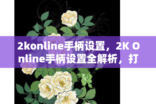 2konline手柄设置，2K Online手柄设置全解析，打造你的专属游戏操控体验