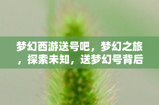 送梦幻号背后的故事图片