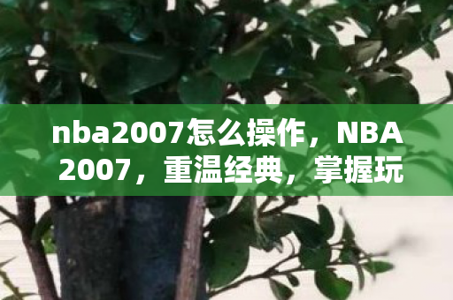 nba2007怎么操作图片