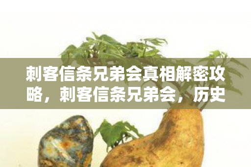 刺客信条兄弟会真相解密攻略图片