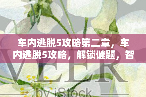 车内逃脱5攻略第二章，车内逃脱5攻略，解锁谜题，智取自由