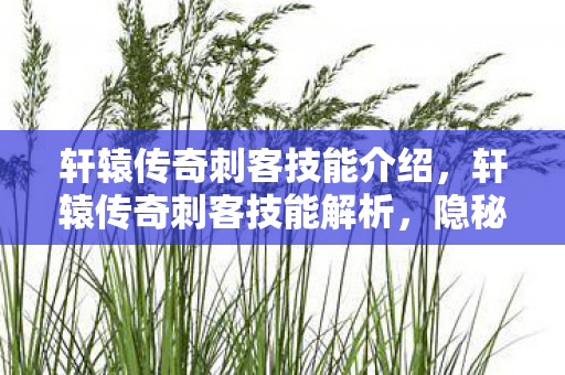 轩辕传奇刺客技能介绍图片