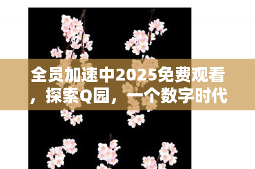 全员加速中2025免费观看图片