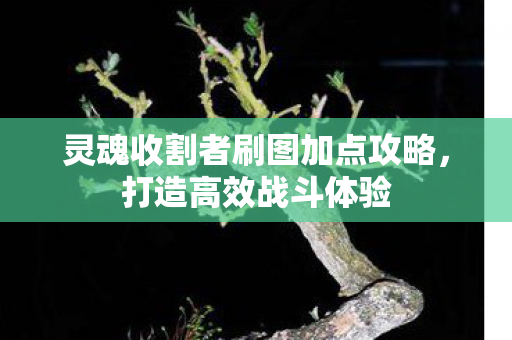 灵魂收割者刷图加点攻略图片