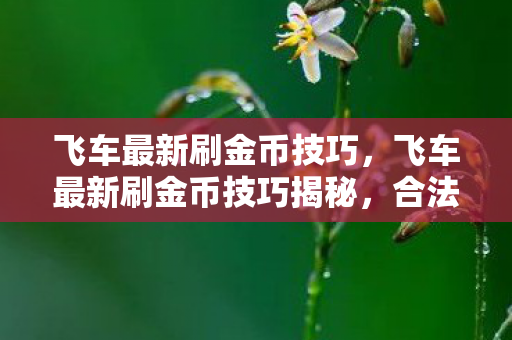 飞车最新刷金币技巧揭秘图片