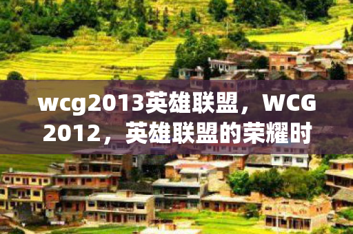 wcg2013英雄联盟图片