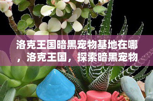 探索暗黑宠物基地的奇幻之旅图片