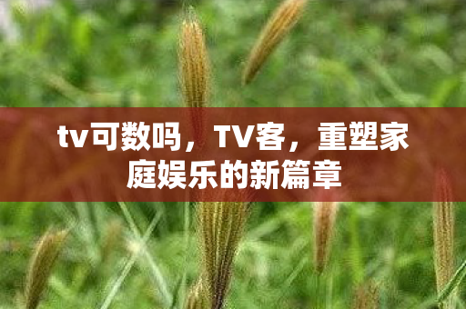 重塑家庭娱乐的新篇章图片