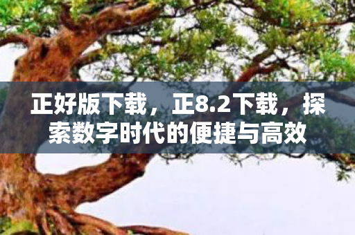 探索数字时代的便捷与高效图片