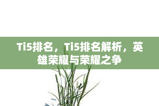 Ti5排名，Ti5排名解析，英雄荣耀与荣耀之争