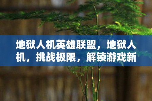 地狱人机英雄联盟图片