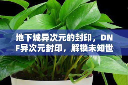 解锁未知世界的神秘之旅图片