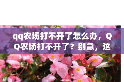 qq农场打不开了怎么办图片