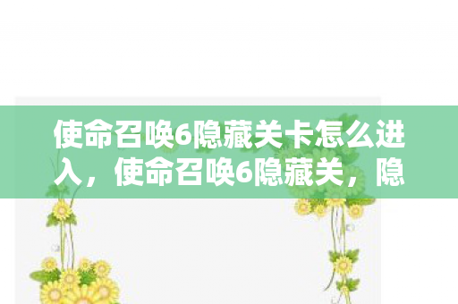 使命召唤6隐藏关卡怎么进入图片