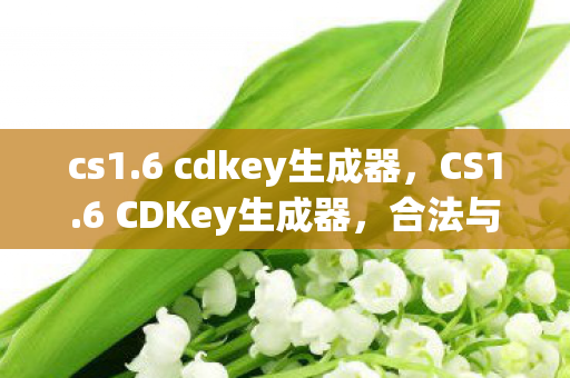 6 cdkey生成器图片