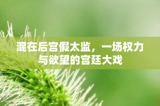 混在后宫假太监，一场权力与欲望的宫廷大戏