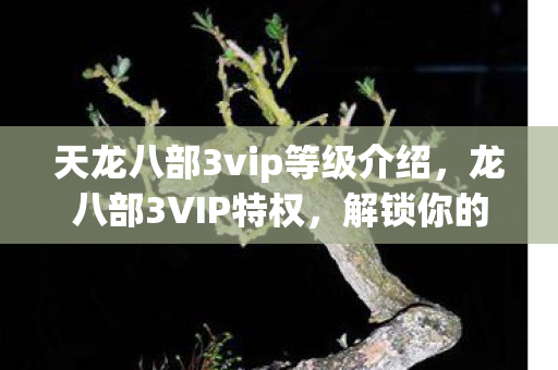 天龙八部3vip等级介绍图片