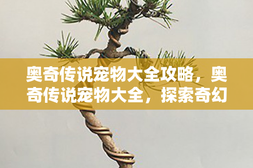 探索奇幻世界的奇妙伙伴图片