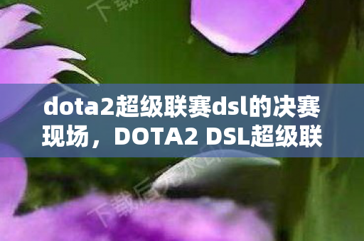 dota2超级联赛dsl的决赛现场，DOTA2 DSL超级联赛，电竞巅峰之战的热血瞬间