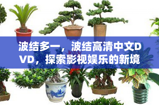 探索影视娱乐的新境界图片