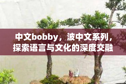 探索语言与文化的深度交融图片