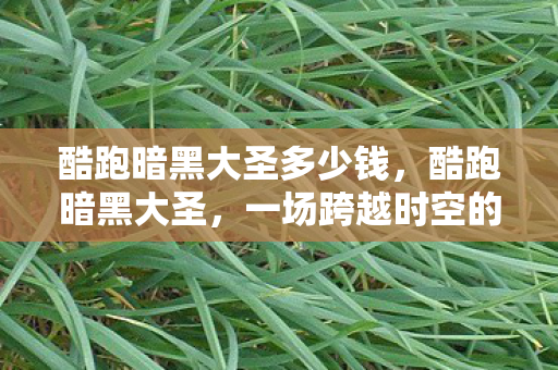 一场跨越时空的冒险之旅图片