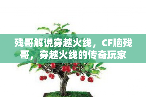 穿越火线的传奇玩家图片