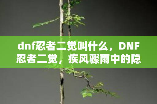 dnf忍者二觉叫什么图片