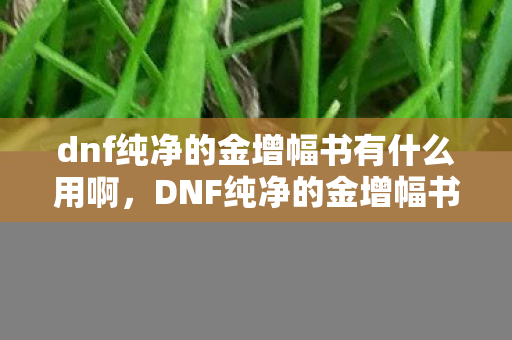 dnf纯净的金增幅书有什么用啊图片