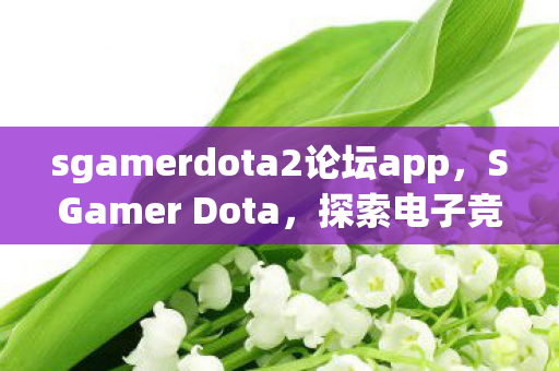 sgamerdota2论坛app图片