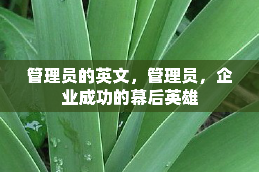 企业成功的幕后英雄图片