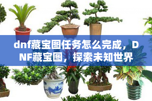dnf藏宝图任务怎么完成图片
