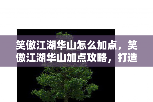 笑傲江湖华山怎么加点图片