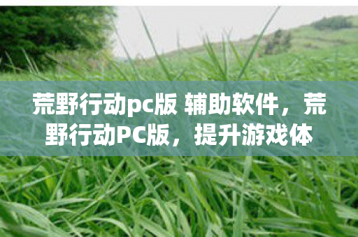 提升游戏体验的辅助工具全解析图片