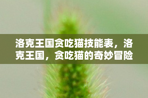 洛克王国贪吃猫技能表图片
