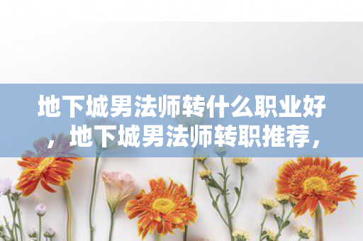 地下城男法师转什么职业好图片