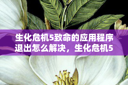 生化危机5致命的应用程序退出怎么解决图片